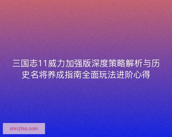 三国志11威力加强版深度策略解析与历史名将养成指南全面玩法进阶心得